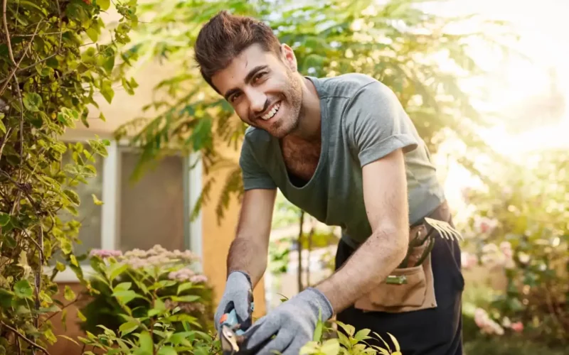 10 best garden edging tools