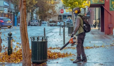 Best Battery Leaf Blower 2022