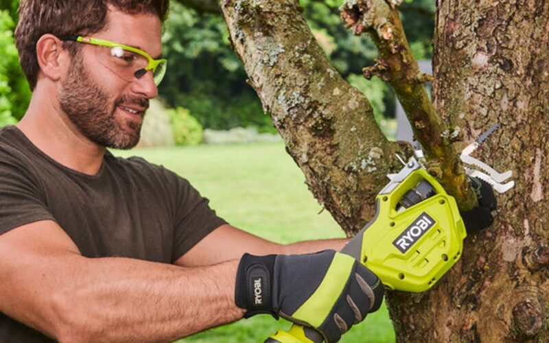 Cordless Pruning Saw Bunnings Electric Pruning Saw Bunnings