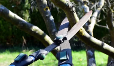 Pair of shears The G Tech Strimmer