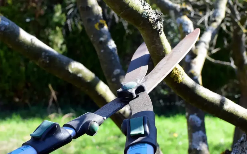 Pair of shears The G Tech Strimmer