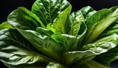 Understanding Romaine Lettuce's Flavor Profile
