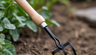 Easy Hand Weeder