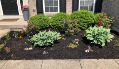 Does Landscape Fabric Kill Weeds?