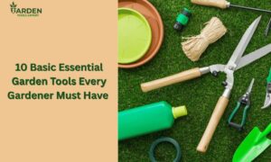 Garden tools on green grass