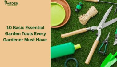 Garden tools on green grass