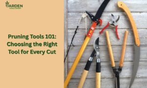Different pruning tools placed on a wooden platform
