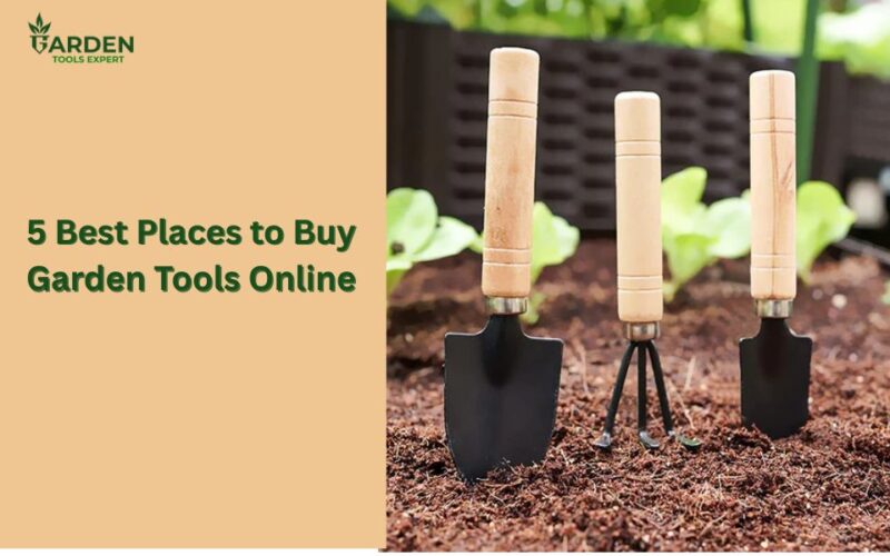 Garden tools placed in the soil