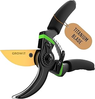 Pruning shears for garden clean-up tools.