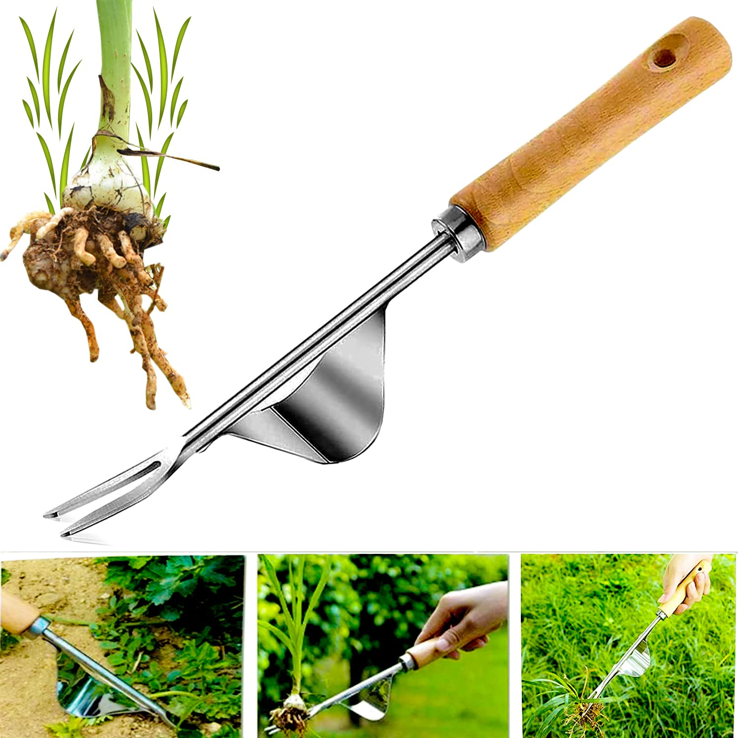 Hand weeder, it is also one of the tools that makes garden maintenance a breeze. It is best for taproot weeds