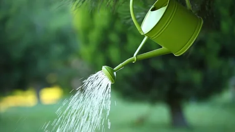 watering can