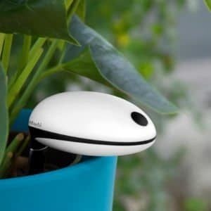 Indoor Garden Sensors
