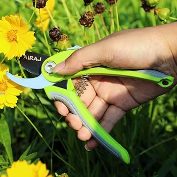 punning shears