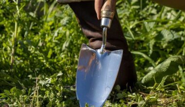 Stainless steel vs carbon steel