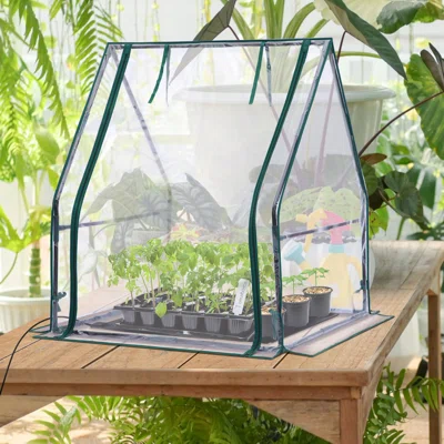 Humidity Dome or Mini Greenhouse