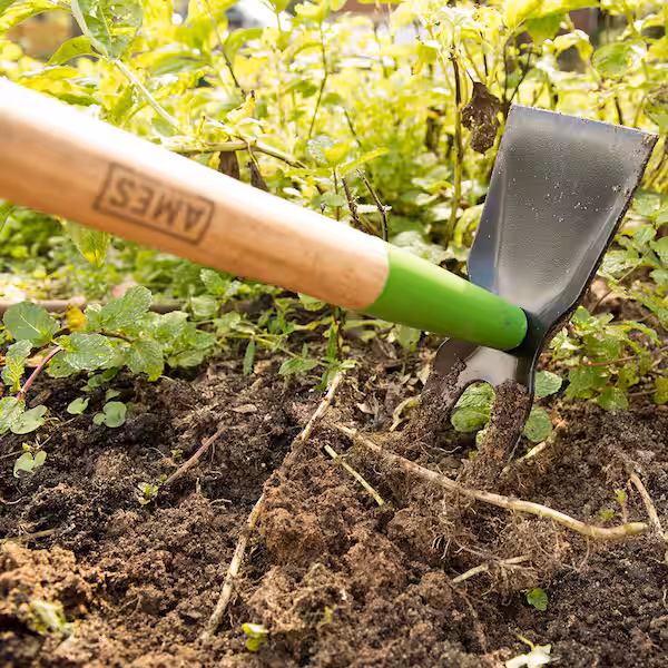 garden hoe