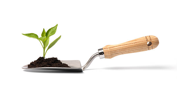 hand trowel